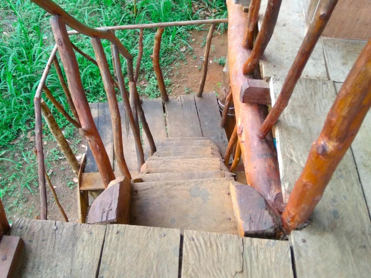 Akash Treehouse Apartment Sigiriya Exterior photo