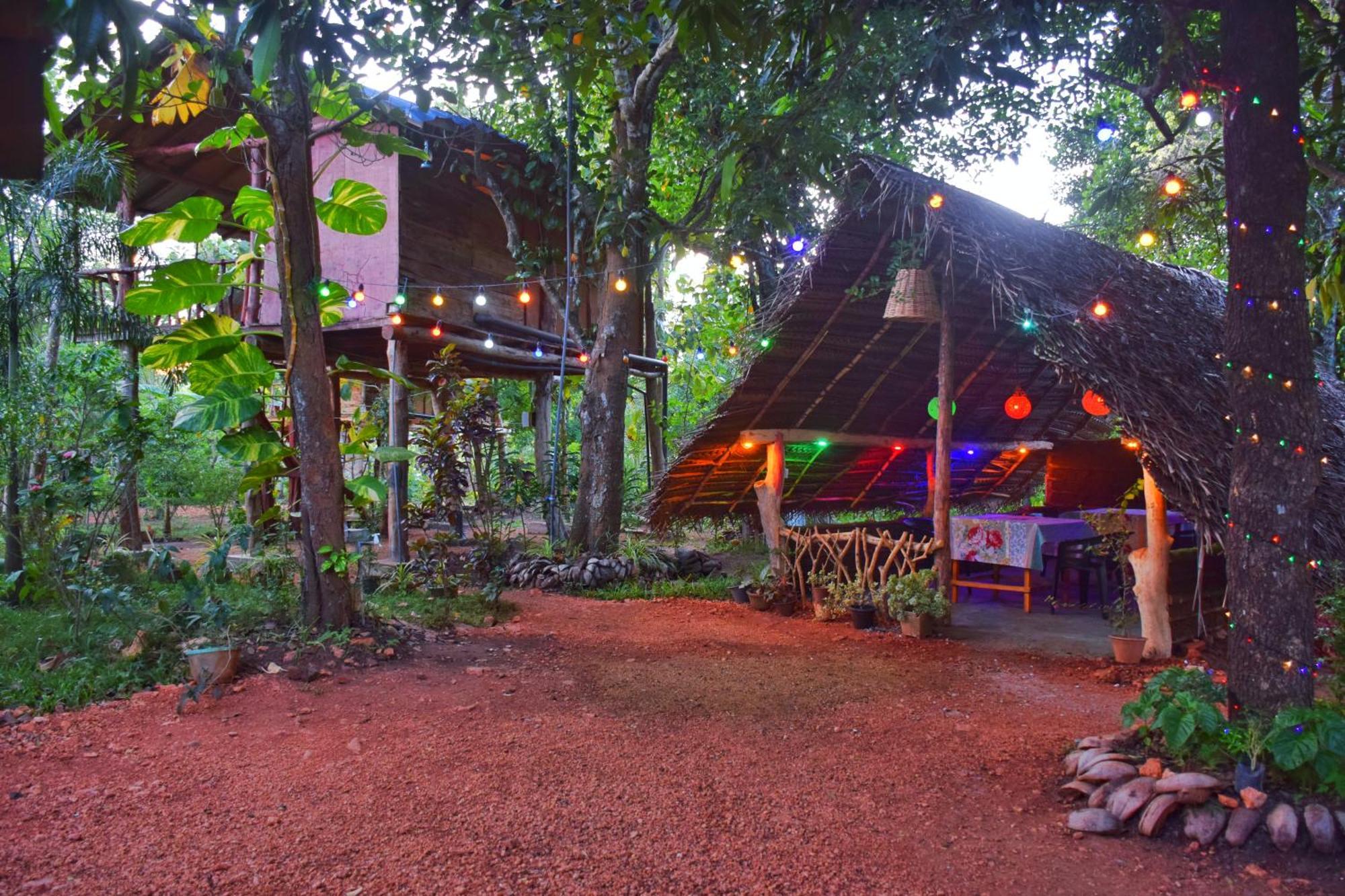 Akash Treehouse Apartment Sigiriya Exterior photo