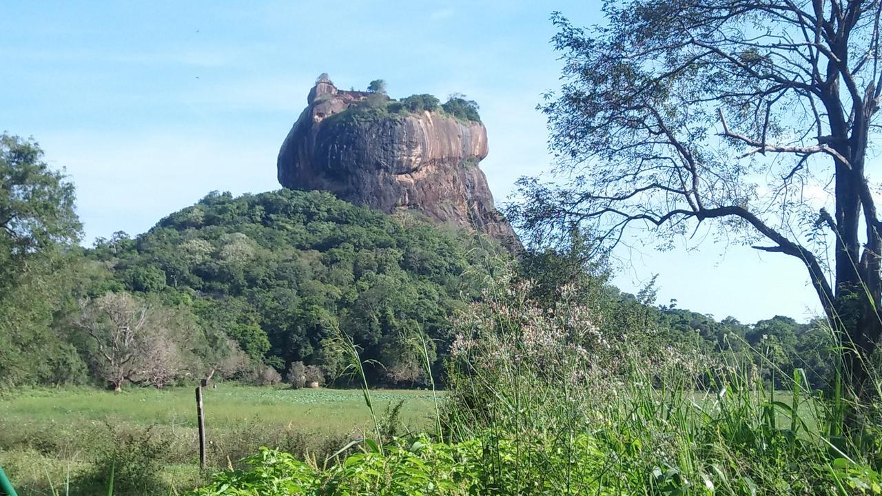 Akash Treehouse Apartment Sigiriya Exterior photo